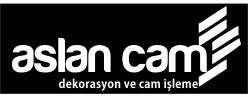 Aslan Cam